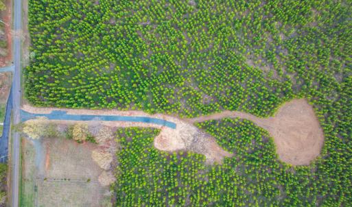 Photo #7 of EVERGREEN CHURCH RD, PALMYRA, VA 42.6 acres