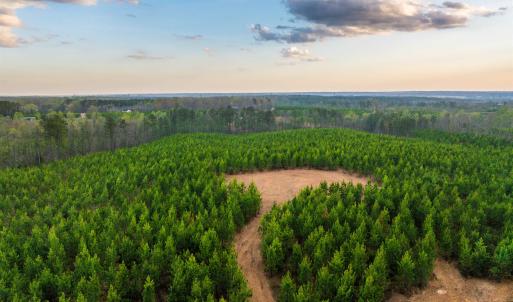 Photo #18 of EVERGREEN CHURCH RD, PALMYRA, VA 42.6 acres