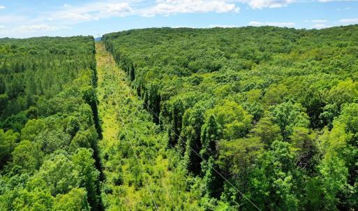 Photo #20 of MT ALTO RD, ESMONT, VA 43.0 acres