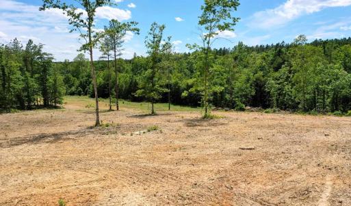 Photo #15 of MT ALTO RD, ESMONT, VA 43.0 acres
