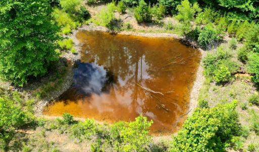 Photo #7 of MT ALTO RD, ESMONT, VA 43.0 acres