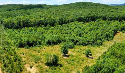Photo #5 of MT ALTO RD, ESMONT, VA 43.0 acres
