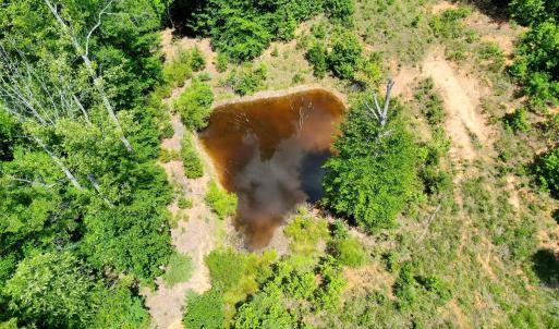 Photo #25 of MT ALTO RD, ESMONT, VA 43.0 acres