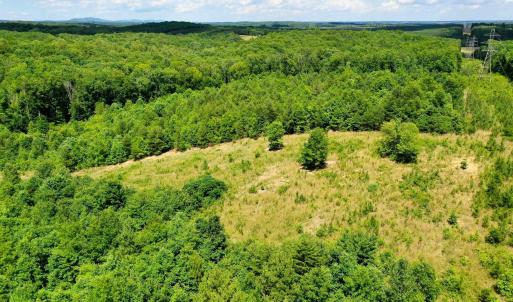 Photo #2 of MT ALTO RD, ESMONT, VA 43.0 acres