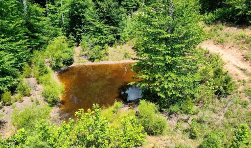 Photo #26 of MT ALTO RD, ESMONT, VA 43.0 acres
