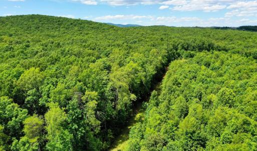 Photo #21 of MT ALTO RD, ESMONT, VA 43.0 acres
