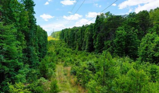 Photo #19 of MT ALTO RD, ESMONT, VA 43.0 acres