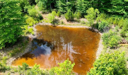 Photo #8 of MT ALTO RD, ESMONT, VA 43.0 acres