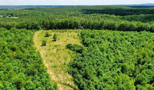 Photo #24 of MT ALTO RD, ESMONT, VA 43.0 acres
