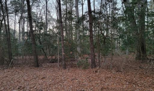 Photo #2 of Lot 7A1 WILSONIA SHORES DR, MACHIPONGO, VA 1.6 acres