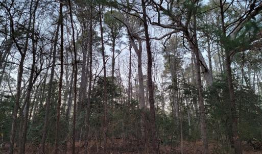 Photo #4 of Lot 7A1 WILSONIA SHORES DR, MACHIPONGO, VA 1.6 acres