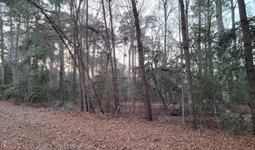 Photo #3 of Lot 7A1 WILSONIA SHORES DR, MACHIPONGO, VA 1.6 acres