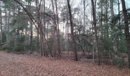 Photo #3 of Lot 7A1 WILSONIA SHORES DR, MACHIPONGO, VA 1.6 acres