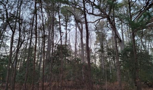 Photo #4 of Lot 7A1 WILSONIA SHORES DR, MACHIPONGO, VA 1.6 acres