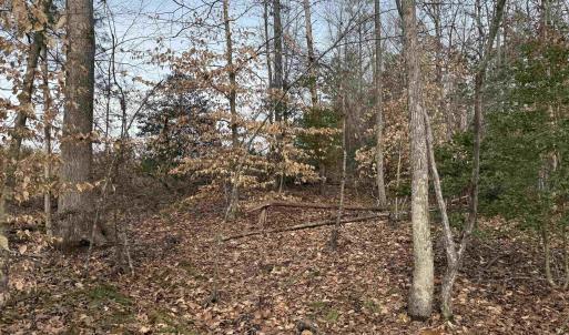 Photo #31 of TBD COMMUNITY HOUSE RD, KENTS STORE, VA 35.0 acres
