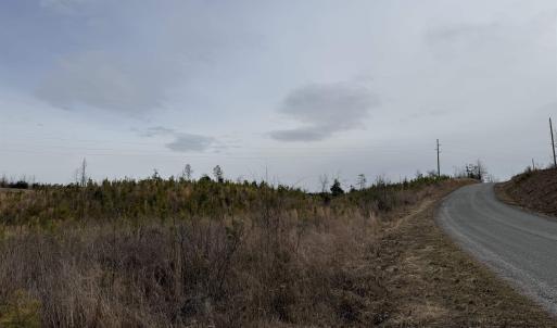 Photo #12 of TBD COMMUNITY HOUSE RD, KENTS STORE, VA 35.0 acres