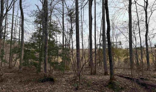 Photo #21 of TBD COMMUNITY HOUSE RD, KENTS STORE, VA 35.0 acres