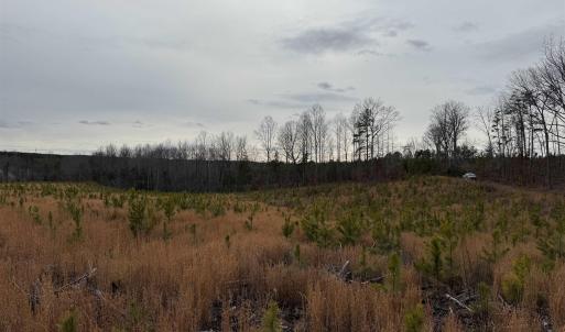 Photo #10 of TBD COMMUNITY HOUSE RD, KENTS STORE, VA 35.0 acres
