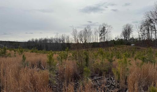 Photo #33 of TBD COMMUNITY HOUSE RD, KENTS STORE, VA 35.0 acres