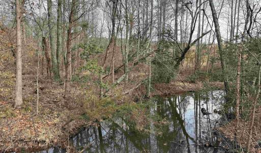 Photo #14 of TBD COMMUNITY HOUSE RD, KENTS STORE, VA 35.0 acres