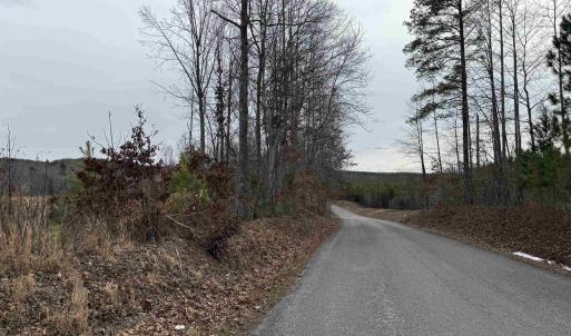 Photo #7 of TBD COMMUNITY HOUSE RD, KENTS STORE, VA 35.0 acres