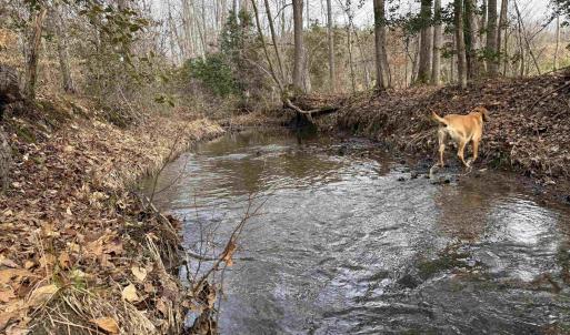 Photo #27 of TBD COMMUNITY HOUSE RD, KENTS STORE, VA 35.0 acres