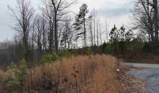 Photo #2 of TBD COMMUNITY HOUSE RD, KENTS STORE, VA 35.0 acres