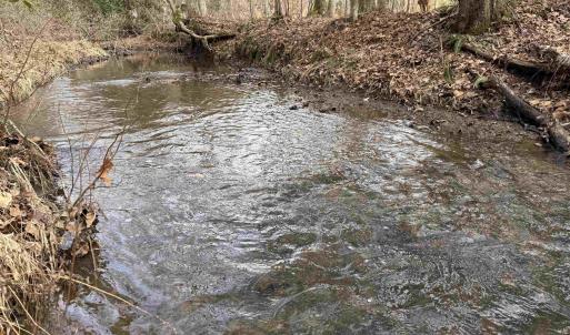 Photo #26 of TBD COMMUNITY HOUSE RD, KENTS STORE, VA 35.0 acres