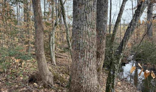Photo #29 of TBD COMMUNITY HOUSE RD, KENTS STORE, VA 35.0 acres