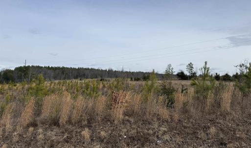 Photo #25 of TBD COMMUNITY HOUSE RD, KENTS STORE, VA 35.0 acres