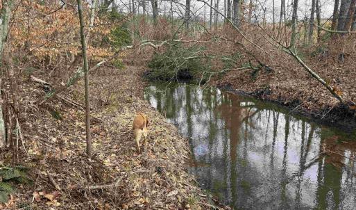 Photo #16 of TBD COMMUNITY HOUSE RD, KENTS STORE, VA 35.0 acres