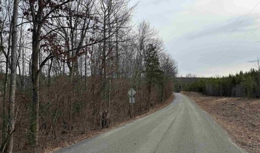Photo #11 of TBD COMMUNITY HOUSE RD, KENTS STORE, VA 35.0 acres