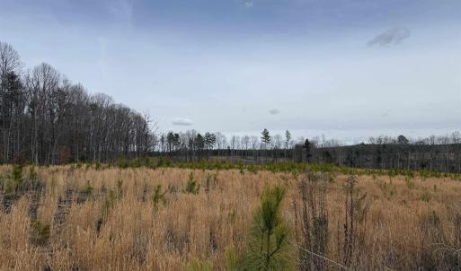 Photo #3 of TBD COMMUNITY HOUSE RD, KENTS STORE, VA 35.0 acres