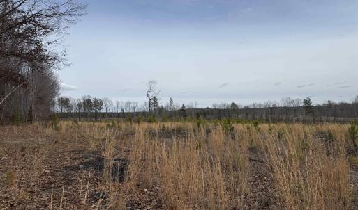 Photo #32 of TBD COMMUNITY HOUSE RD, KENTS STORE, VA 35.0 acres