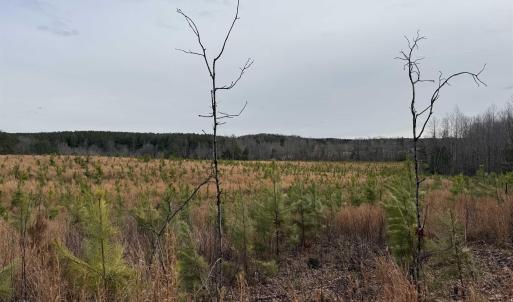 Photo #8 of TBD COMMUNITY HOUSE RD, KENTS STORE, VA 35.0 acres