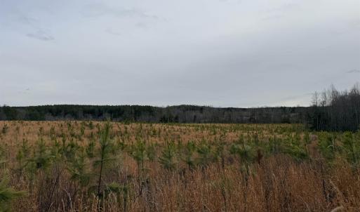 Photo #5 of TBD COMMUNITY HOUSE RD, KENTS STORE, VA 35.0 acres