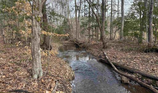 Photo #20 of TBD COMMUNITY HOUSE RD, KENTS STORE, VA 35.0 acres