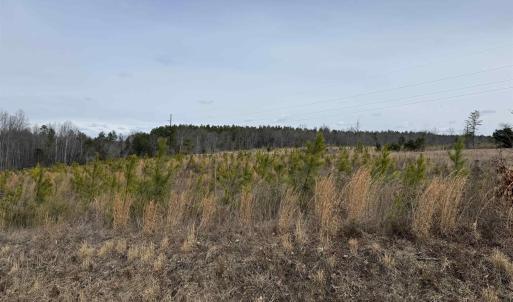 Photo #22 of TBD COMMUNITY HOUSE RD, KENTS STORE, VA 35.0 acres