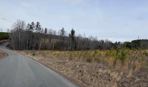 Photo #23 of TBD COMMUNITY HOUSE RD, KENTS STORE, VA 35.0 acres