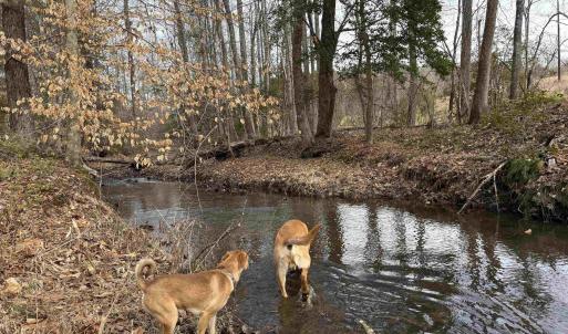Photo #18 of TBD COMMUNITY HOUSE RD, KENTS STORE, VA 35.0 acres