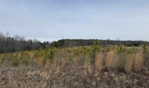 Photo #24 of TBD COMMUNITY HOUSE RD, KENTS STORE, VA 35.0 acres