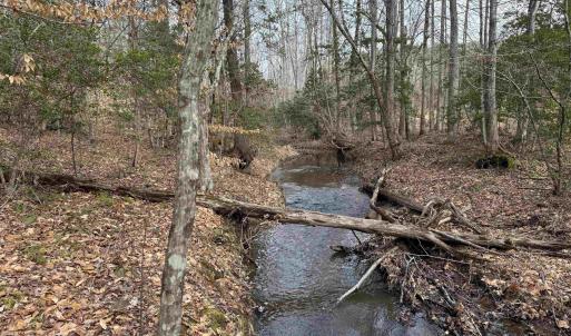Photo #19 of TBD COMMUNITY HOUSE RD, KENTS STORE, VA 35.0 acres