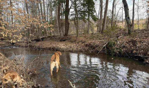Photo #17 of TBD COMMUNITY HOUSE RD, KENTS STORE, VA 35.0 acres