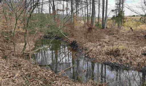 Photo #15 of TBD COMMUNITY HOUSE RD, KENTS STORE, VA 35.0 acres