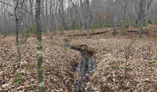 Photo #6 of C2 HARDWARE RD, ARVONIA, VA 11.5 acres