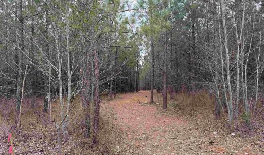 Photo #4 of C2 HARDWARE RD, ARVONIA, VA 11.5 acres