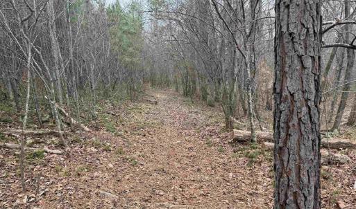 Photo #8 of C2 HARDWARE RD, ARVONIA, VA 11.5 acres