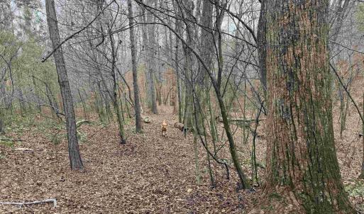 Photo #8 of TBD 1 HARDWARE RD, ARVONIA, VA 6.5 acres