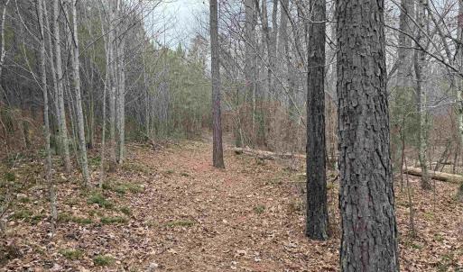 Photo #5 of TBD 1 HARDWARE RD, ARVONIA, VA 6.5 acres