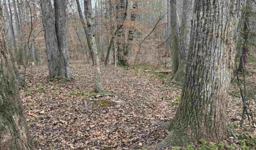 Photo #6 of TBD 1 HARDWARE RD, ARVONIA, VA 6.5 acres